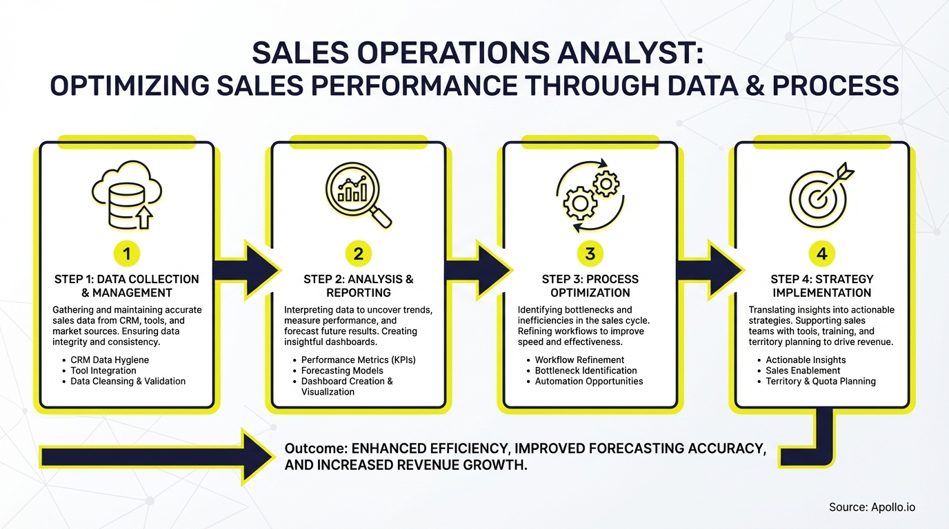 sales operations analyst - key insights and best practices infographic